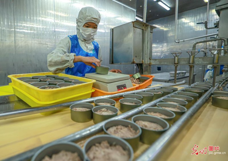 食品加工行业的发展与趋势：代加工模式引领新风尚
