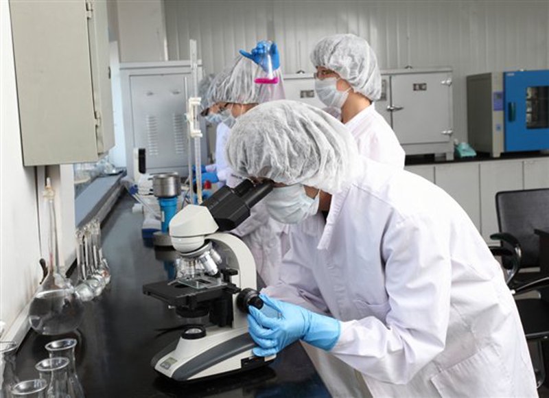 速冻食品生产新趋势：从传统到现代