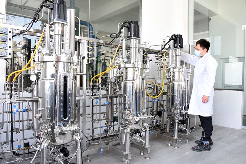 探寻美味之源：肉制品加工行业的行业动态